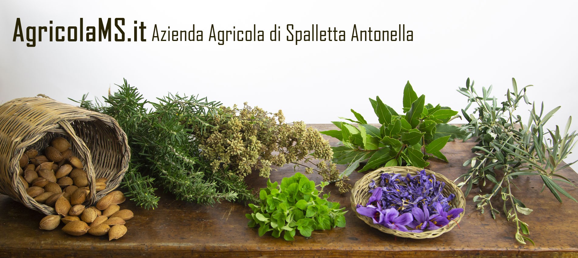 Agricolams.it - Azienda Agricola di  Spalletta Antonella