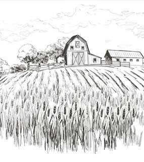Agricolams.it - Azienda Agricola di  Spallatta Antonella -Sicilia